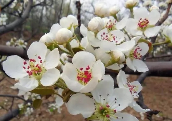 http://sdsanjiang.com.cn/